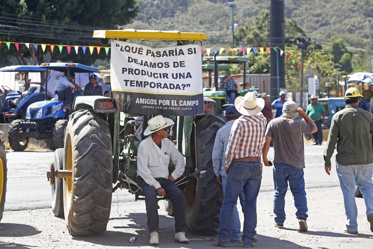 FERNANDO CARRANZA GARCÍA/ CUARTOSCURO